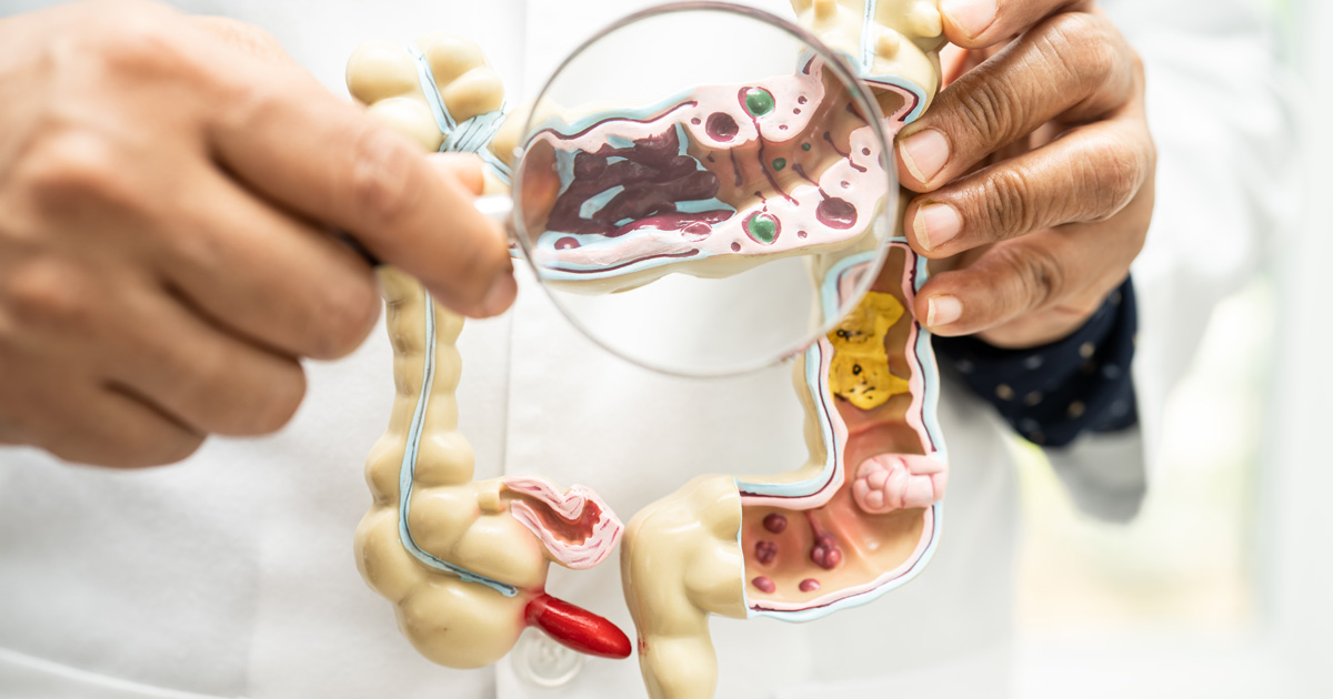 Microbiota intestinal e doenças metabólicas